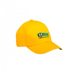 Hurix's Cap 帽