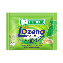 Hurix's Lozeng Pi Pa Plus